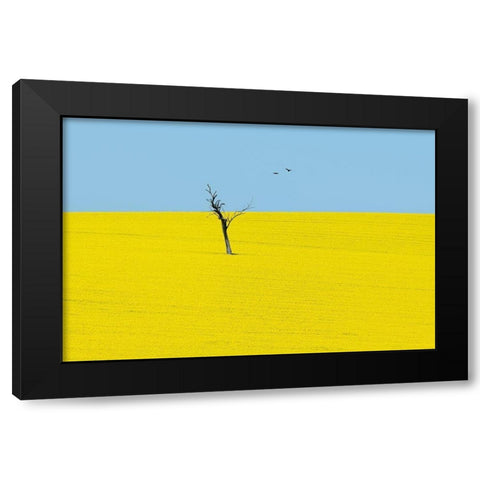 Canola Flowers Black Modern Wood Framed Art Print with Double Matting by Ivylu