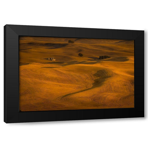 Wheat Field in Sunset Black Modern Wood Framed Art Print with Double Matting by Wang, David
