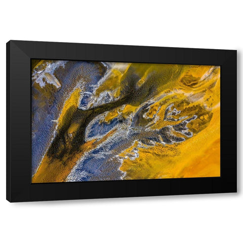 Poisoned flowers Black Modern Wood Framed Art Print with Double Matting by Pop, Ovi