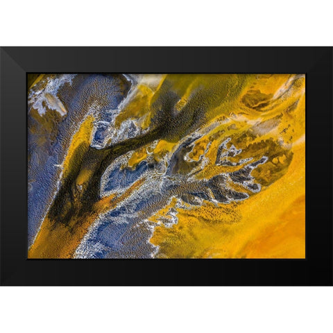 Poisoned flowers Black Modern Wood Framed Art Print by Pop, Ovi