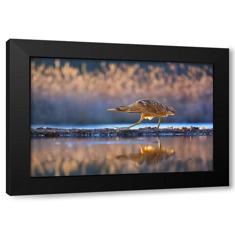 Patrol Black Modern Wood Framed Art Print by Chang, Phillip