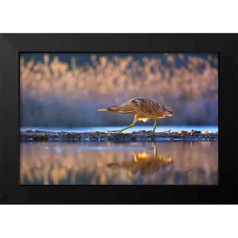 Patrol Black Modern Wood Framed Art Print by Chang, Phillip