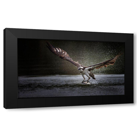 Deadly Catch Black Modern Wood Framed Art Print by Chang, Phillip