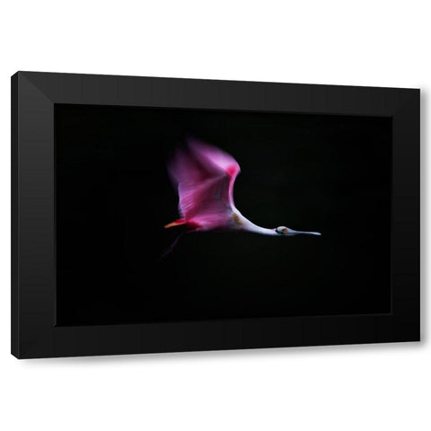 Rose in the Air Black Modern Wood Framed Art Print by Chang, Phillip