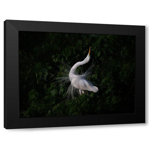 The Call Black Modern Wood Framed Art Print by Chang, Phillip