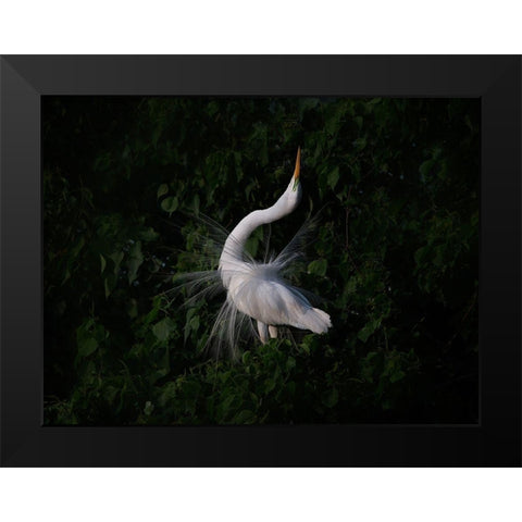 The Call Black Modern Wood Framed Art Print by Chang, Phillip