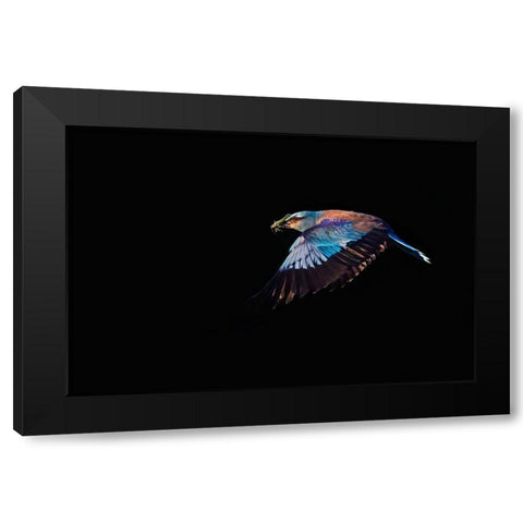 The Roller hunting Black Modern Wood Framed Art Print by Chang, Phillip