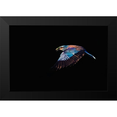 The Roller hunting Black Modern Wood Framed Art Print by Chang, Phillip