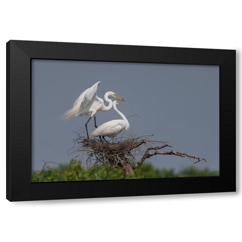 Working Black Modern Wood Framed Art Print with Double Matting by Chang, Phillip