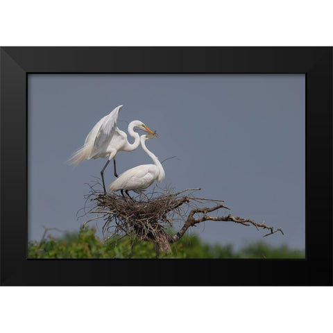 Working Black Modern Wood Framed Art Print by Chang, Phillip