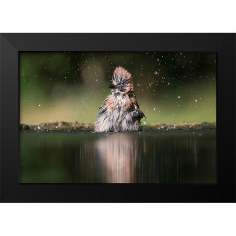 Showering Black Modern Wood Framed Art Print by Chang, Phillip