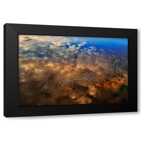 Flamingos over the clouds Black Modern Wood Framed Art Print by Chang, Phillip