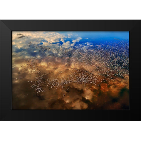 Flamingos over the clouds Black Modern Wood Framed Art Print by Chang, Phillip