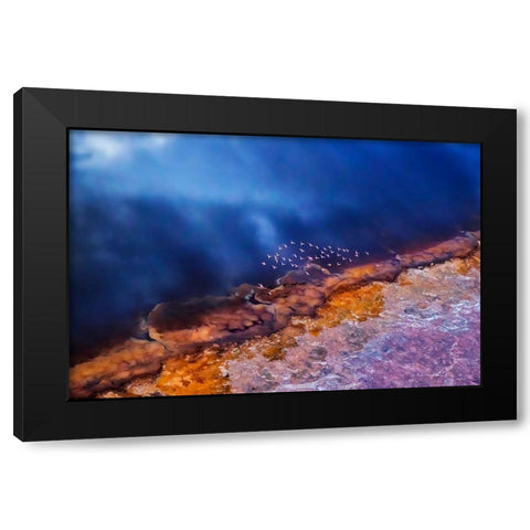 Flamingo fly over the lake Black Modern Wood Framed Art Print with Double Matting by Chang, Phillip