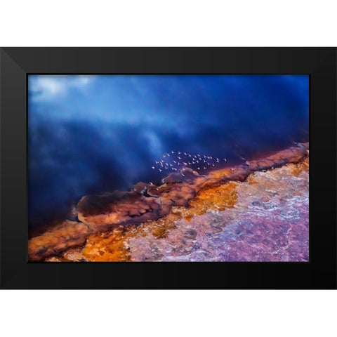 Flamingo fly over the lake Black Modern Wood Framed Art Print by Chang, Phillip