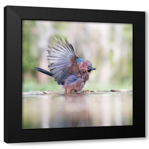 Summer day Black Modern Wood Framed Art Print with Double Matting by Chang, Phillip