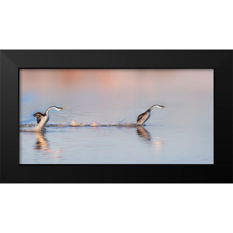 Chase After Black Modern Wood Framed Art Print by Chang, Phillip