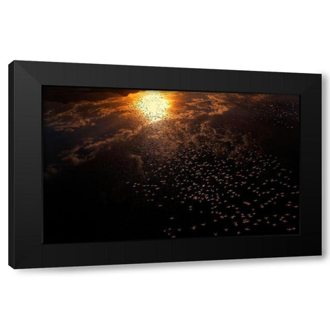 Late flying Black Modern Wood Framed Art Print by Chang, Phillip