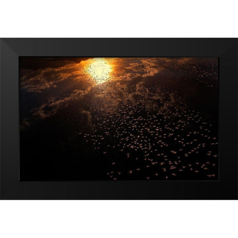 Late flying Black Modern Wood Framed Art Print by Chang, Phillip