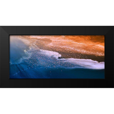 Happy flight Black Modern Wood Framed Art Print by Chang, Phillip