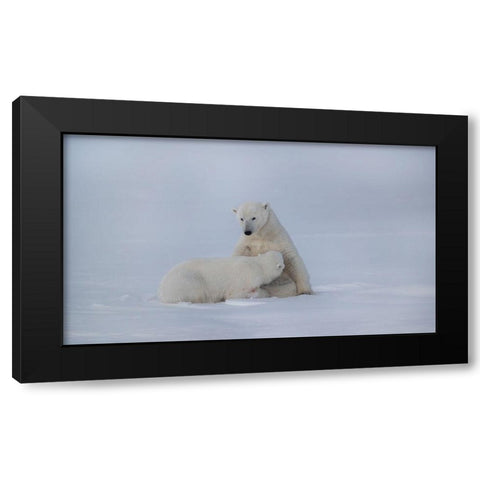 Feeding Black Modern Wood Framed Art Print by Chang, Phillip