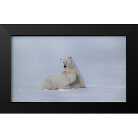 Feeding Black Modern Wood Framed Art Print by Chang, Phillip