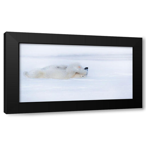 Shy Black Modern Wood Framed Art Print with Double Matting by Chang, Phillip