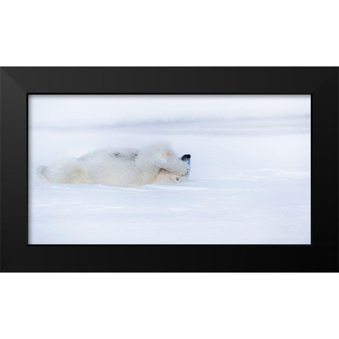 Shy Black Modern Wood Framed Art Print by Chang, Phillip