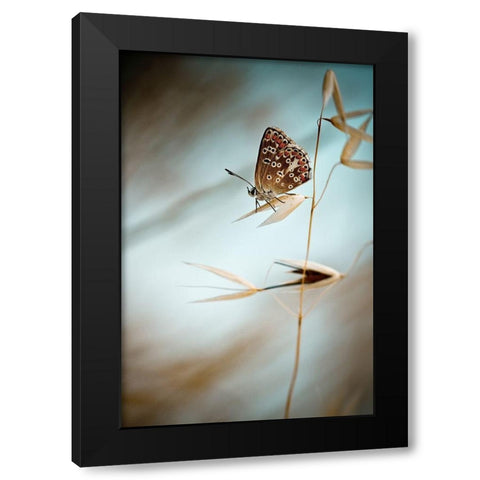 Dream in blue Black Modern Wood Framed Art Print with Double Matting by Bravin, Fabien