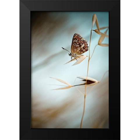 Dream in blue Black Modern Wood Framed Art Print by Bravin, Fabien