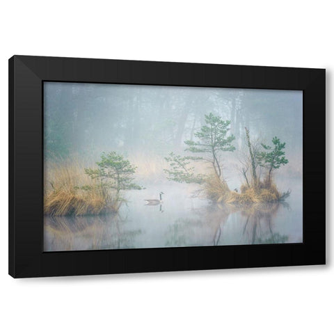 Hide and Seek Black Modern Wood Framed Art Print by George, Andrew