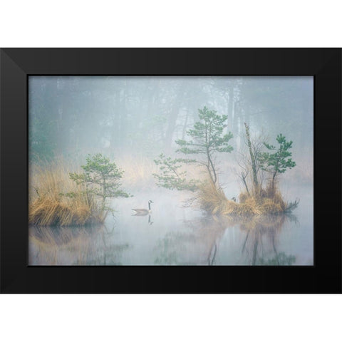 Hide and Seek Black Modern Wood Framed Art Print by George, Andrew