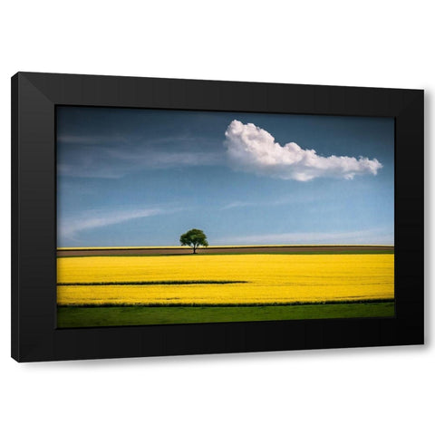 The Tree and the Cloud Black Modern Wood Framed Art Print with Double Matting by Wonisch, Andreas
