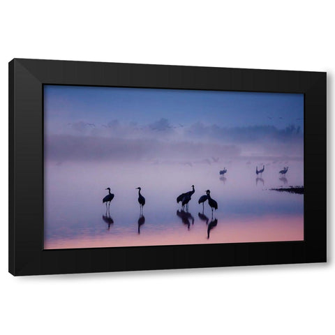 Enchanted Serenity Black Modern Wood Framed Art Print with Double Matting by Meizner