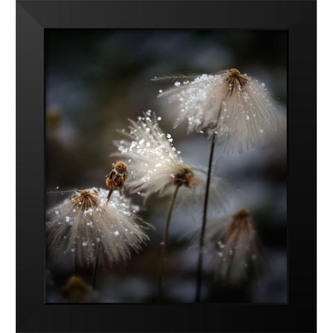 The new dress Black Modern Wood Framed Art Print by Dou, Shenshen