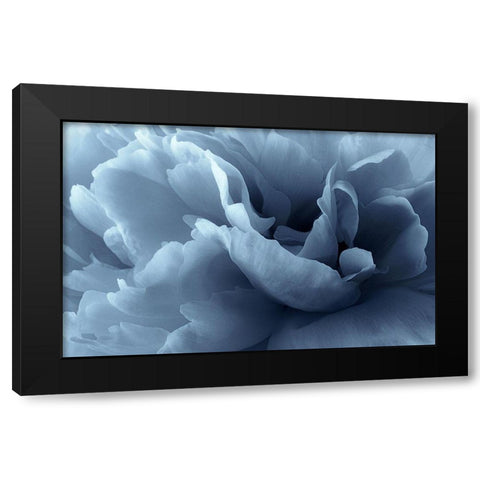 Peony petal abstract Black Modern Wood Framed Art Print by Gronkjar, Lotte