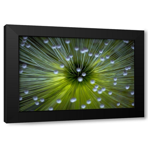 Inverted Commas Black Modern Wood Framed Art Print with Double Matting by Faber, Wave