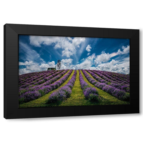 Unforgettable summer Black Modern Wood Framed Art Print with Double Matting by Dujic LightHunter, Zoran