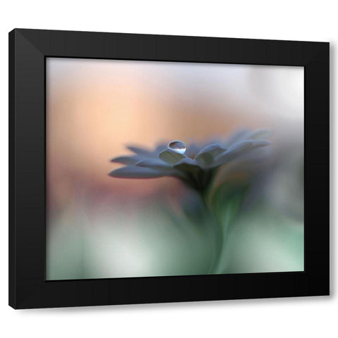 Eyes of the Light Black Modern Wood Framed Art Print with Double Matting by Nan, Juliana