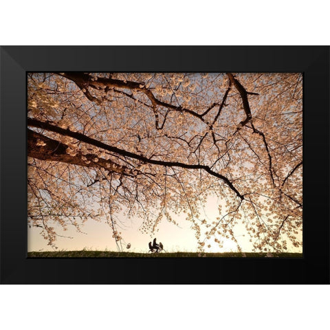 Way Back Black Modern Wood Framed Art Print by Takanobu Kano