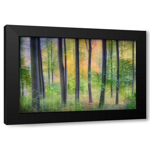 Dreamy Black Modern Wood Framed Art Print by Jochen, Burger