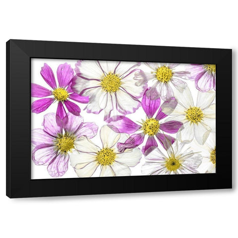 Keeping Summer Black Modern Wood Framed Art Print by Disher, Mandy