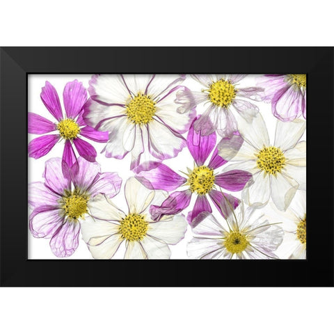 Keeping Summer Black Modern Wood Framed Art Print by Disher, Mandy