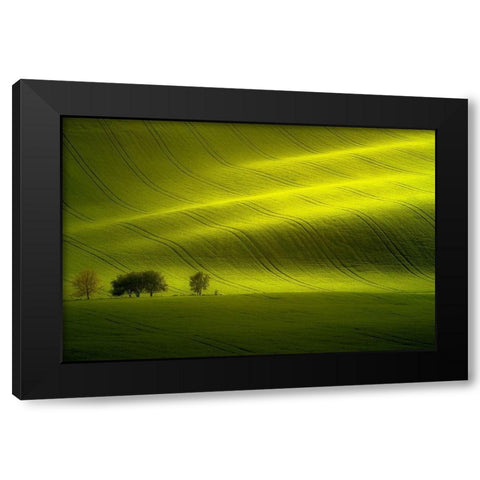 Sunlight Black Modern Wood Framed Art Print with Double Matting by Banny, Peter