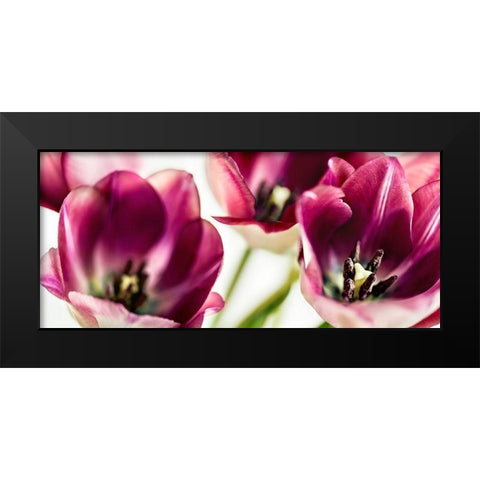 TULIPS IV Black Modern Wood Framed Art Print by Bsmart