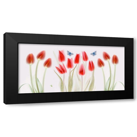 Triptych Black Modern Wood Framed Art Print with Double Matting by Haslam, Brian