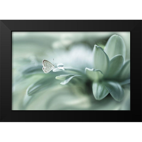 Bola ajaib Black Modern Wood Framed Art Print by Setiawan, Arief