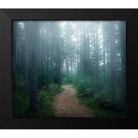 The forest of secrets Black Modern Wood Framed Art Print by Lindsten, Christian