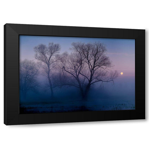 Another new day Black Modern Wood Framed Art Print with Double Matting by Agazzi, Andreas