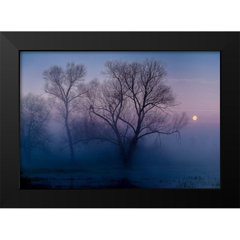 Another new day Black Modern Wood Framed Art Print by Agazzi, Andreas